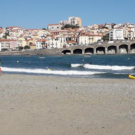Banyuls La Grande Bleue : Studio T1 Esterno foto