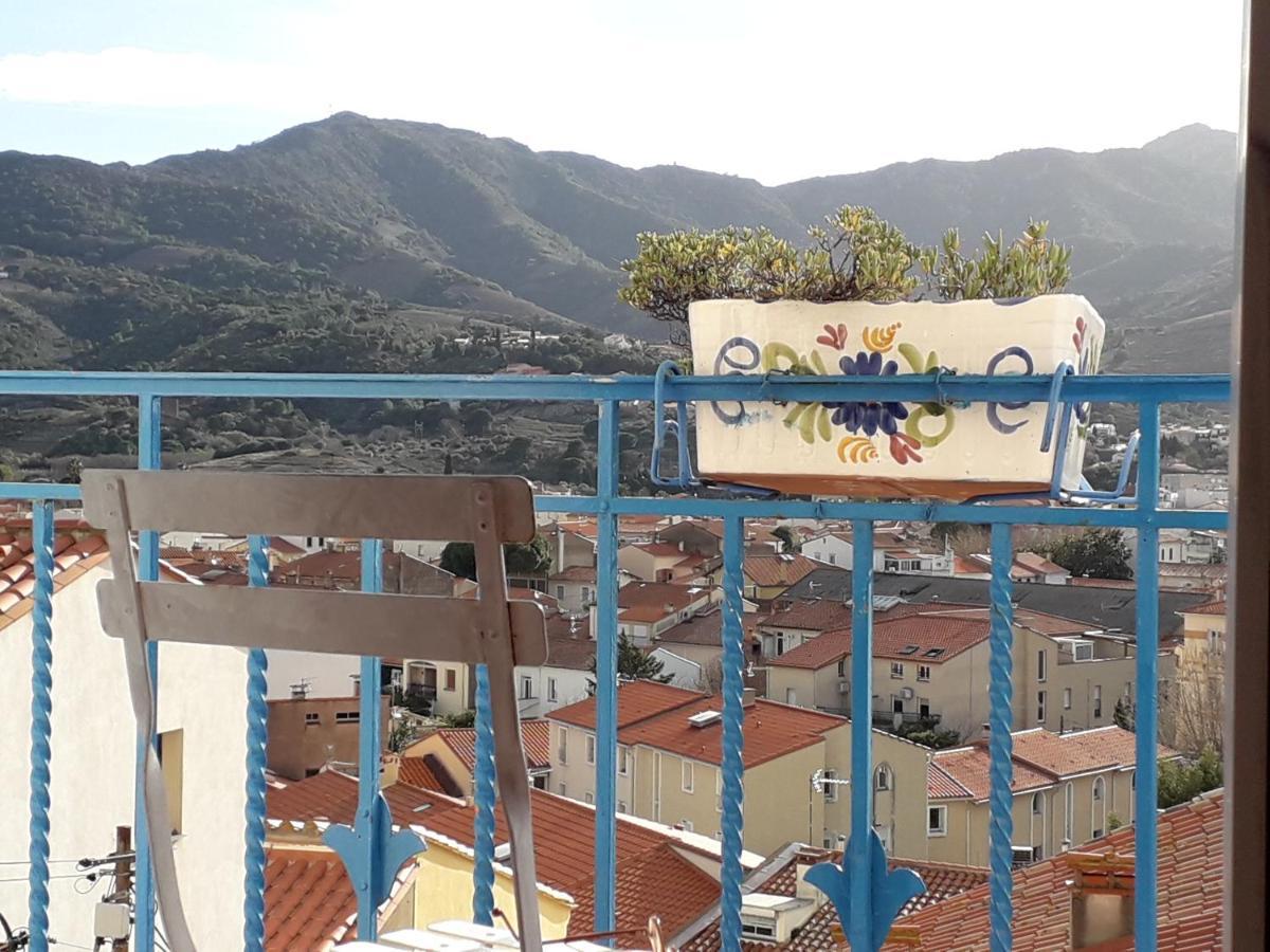 Banyuls La Grande Bleue : Studio T1 Esterno foto