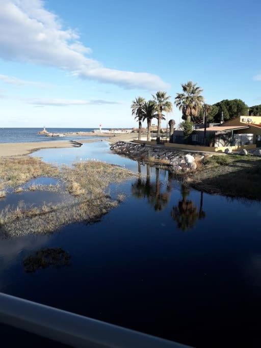 Banyuls La Grande Bleue : Studio T1 Esterno foto