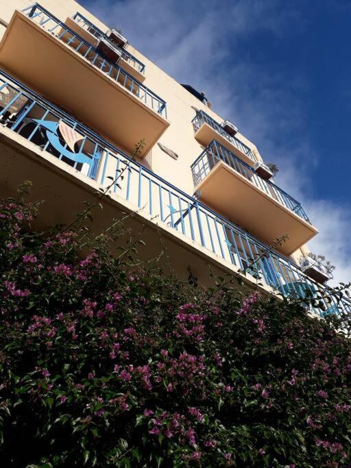 Banyuls La Grande Bleue : Studio T1 Esterno foto