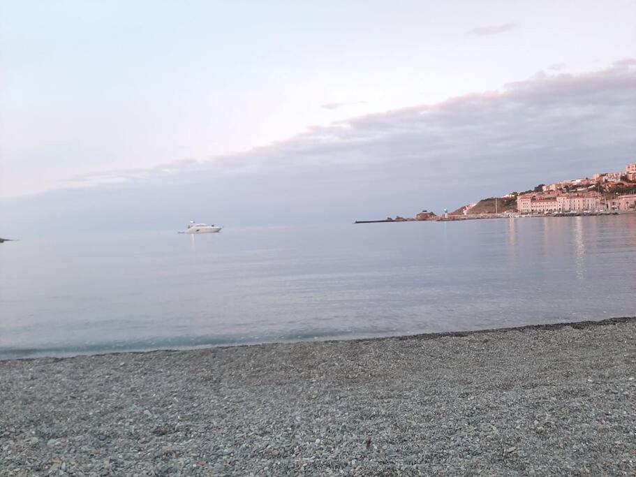 Banyuls La Grande Bleue : Studio T1 Esterno foto